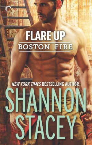Cover of the book Flare Up by Anna Richland