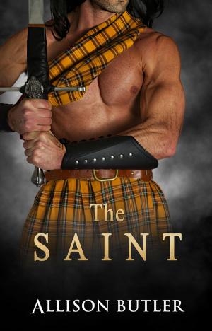 Cover of the book The Saint by Cate Ellink