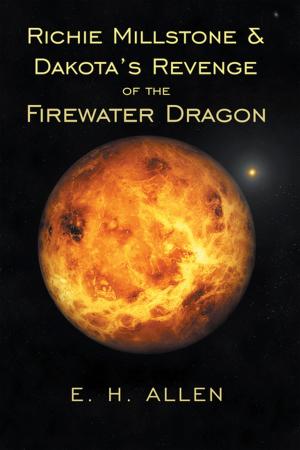 Cover of the book Richie Millstone & Dakota’s Revenge of the Firewater Dragon by Lina Pagniacci Capoli