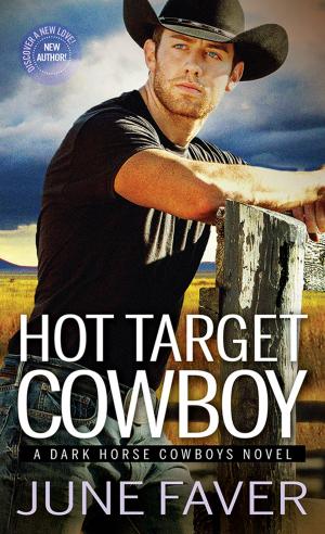 Cover of the book Hot Target Cowboy by Kelly Simmons