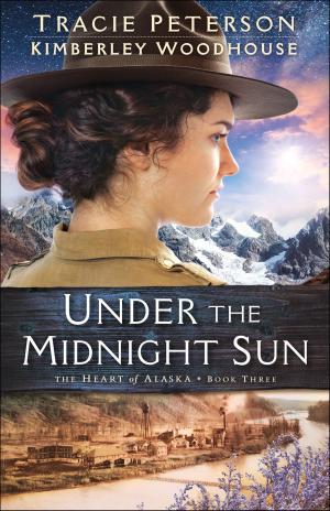 Book cover of Under the Midnight Sun (The Heart of Alaska Book #3)