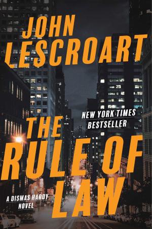 Cover of the book The Rule of Law by Helen Fitzgerald