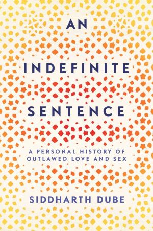 Cover of the book An Indefinite Sentence by Spencer Quinn