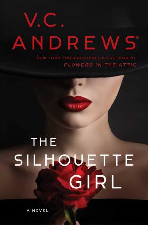 Book cover of The Silhouette Girl