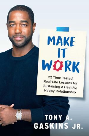 bigCover of the book Make It Work by 