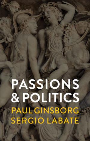 Cover of the book Passions and Politics by Philip Kotler, Robert J. Stevens, Joel I. Shalowitz