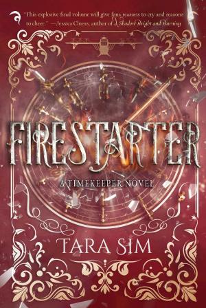 Cover of the book Firestarter by Mark Cheverton