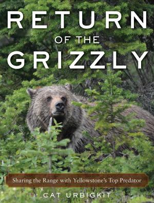 Book cover of Return of the Grizzly