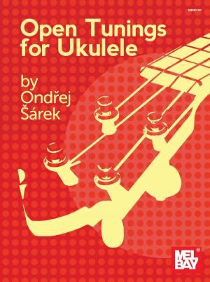 Cover of the book Open Tunings for Ukulele by Andrew Driscoll