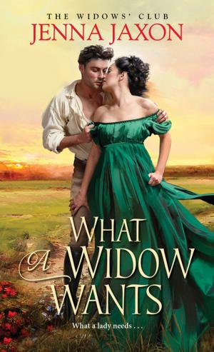 Cover of the book What a Widow Wants by Stephanie Haefner