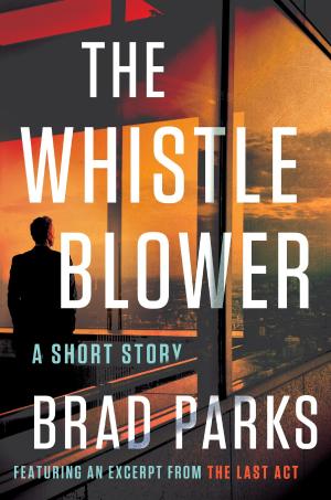 Cover of the book The Whistleblower by Shawn O'Toole