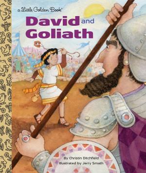 Cover of the book David and Goliath by The Princeton Review