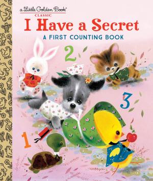 Cover of the book I Have a Secret: A First Counting Book by Laurel Snyder