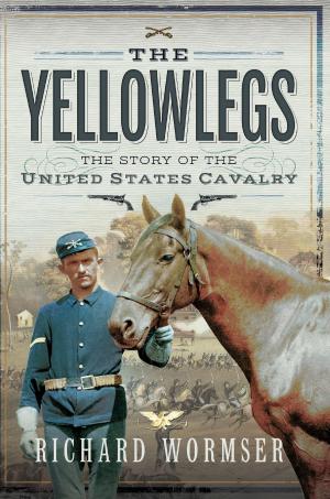 Cover of the book The Yellowlegs by Susan Chambers, Peter Ollerhead