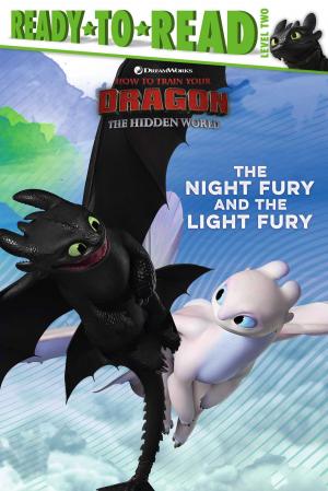 Cover of the book The Night Fury and the Light Fury by Coco Simon