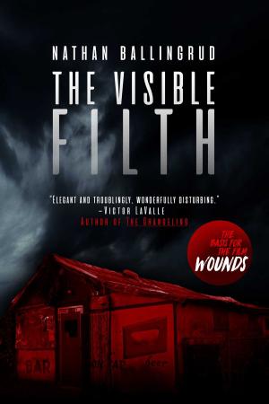 Book cover of The Visible Filth