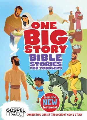 Cover of the book Bible Stories for Toddlers from the New Testament by Matthew Malcolm