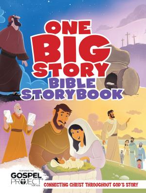 Cover of the book One Big Story Bible Storybook by Robert Wise
