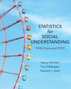 Book cover of Statistics for Social Understanding