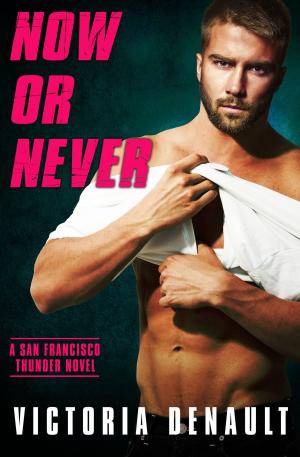 Cover of the book Now or Never by Robyn Hill