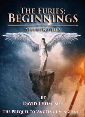 Book cover of The Furies - Beginnings