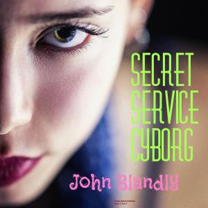 Cover of the book Secret Service Cyborg by Danielle Sibarium