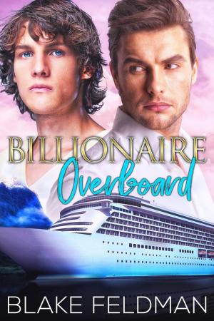 Cover of the book Billionaire Overboard by Alyse Zaftig, Eva Wilder