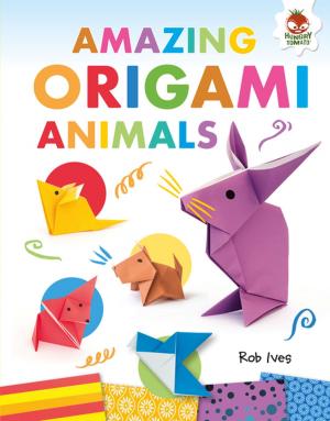 Cover of the book Amazing Origami Animals by Rob Ives