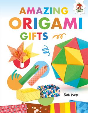 Cover of the book Amazing Origami Gifts by Mindy Avra Portnoy