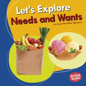Book cover of Let's Explore Needs and Wants