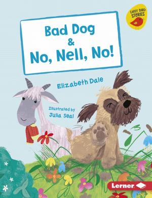 Cover of the book Bad Dog & No, Nell, No! by Peninnah Schram, Rachayl Eckstein Davis