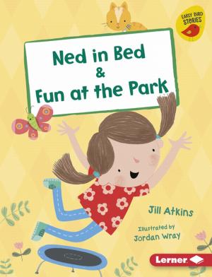 Book cover of Ned in Bed & Fun at the Park