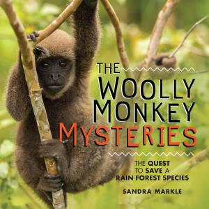 Cover of the book The Woolly Monkey Mysteries by Lisa Bullard