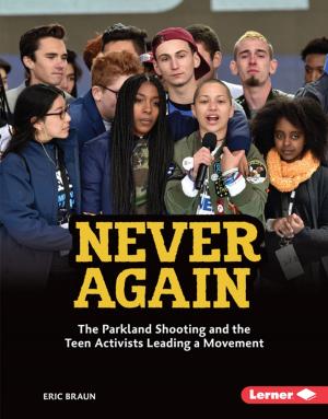 Cover of the book Never Again by Rebecca Felix