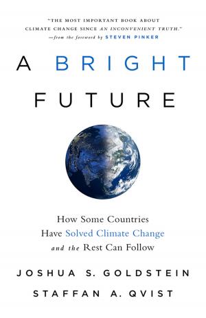 Cover of the book A Bright Future by David Goldblatt