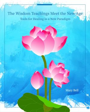 Cover of the book The Wisdom Teachings Meet the New Age by James Lively