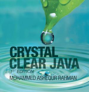 Cover of the book Crystal Clear Java by Cynthia Phillipson