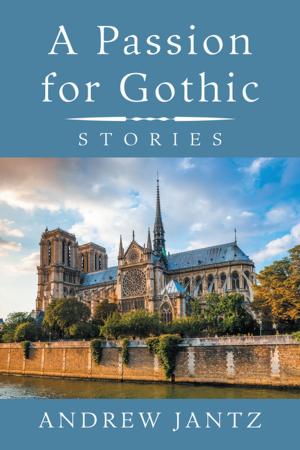 Book cover of A Passion for Gothic