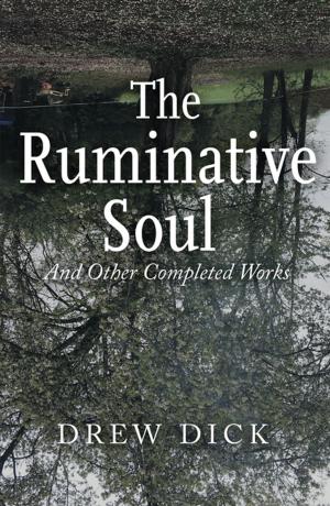 Cover of the book The Ruminative Soul by Marvin Hathaway