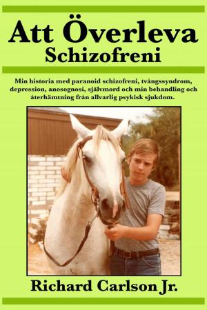 Book cover of Att Överleva Schizofreni