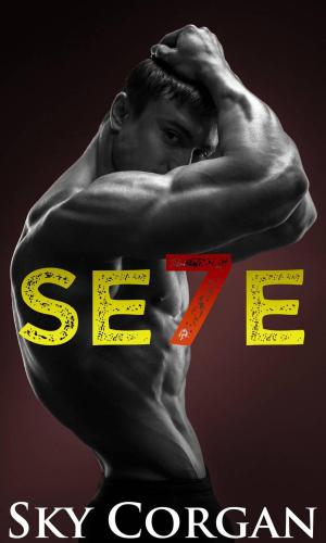 Cover of the book Se7e by Anca Ioviţă