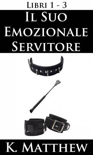 Cover of the book Il Suo emozionale servitore: Libri 1-3 by Ana Rubio-Serrano