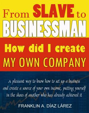 Cover of the book From Slave to Businessman: How did I create my own company by Sierra Rose
