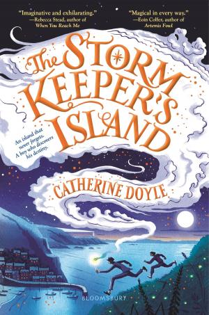 Cover of the book The Storm Keeper’s Island by Dr Sarah Carr