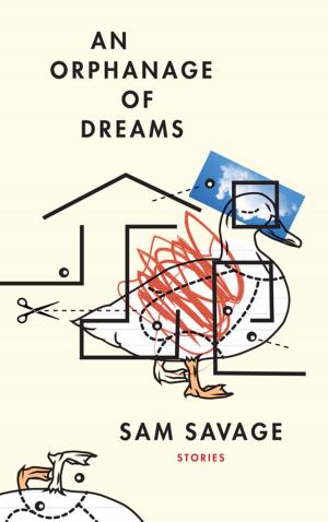 Cover of the book An Orphanage of Dreams by Daniel Saldaña París