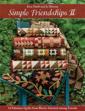 Cover of the book Simple Friendships II by Kim Diehl