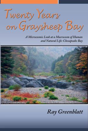Cover of the book Twenty Years on Graysheep Bay by Gordon Zima