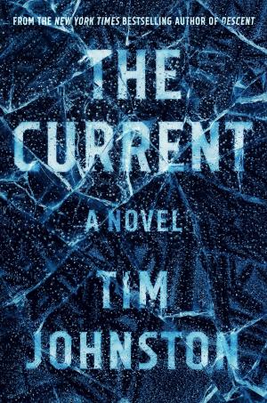 Cover of the book The Current by Jill McCorkle