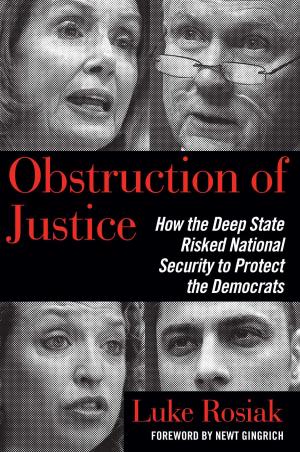 Cover of the book Obstruction of Justice by Meg Meeker