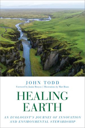 Cover of the book Healing Earth by Richard Grossinger, Klaus Podoll, M.D., Markus Dahlem, Ph.D.
